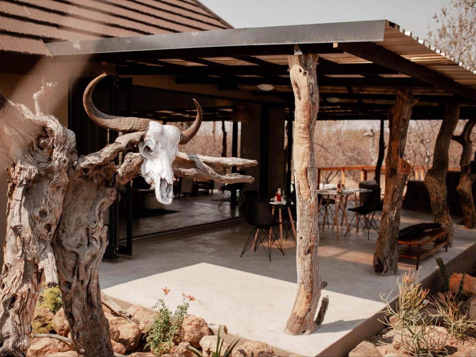 Maroelani Lodge- Greater Kruger Private Reserve Hoedspruit Eksteriør billede