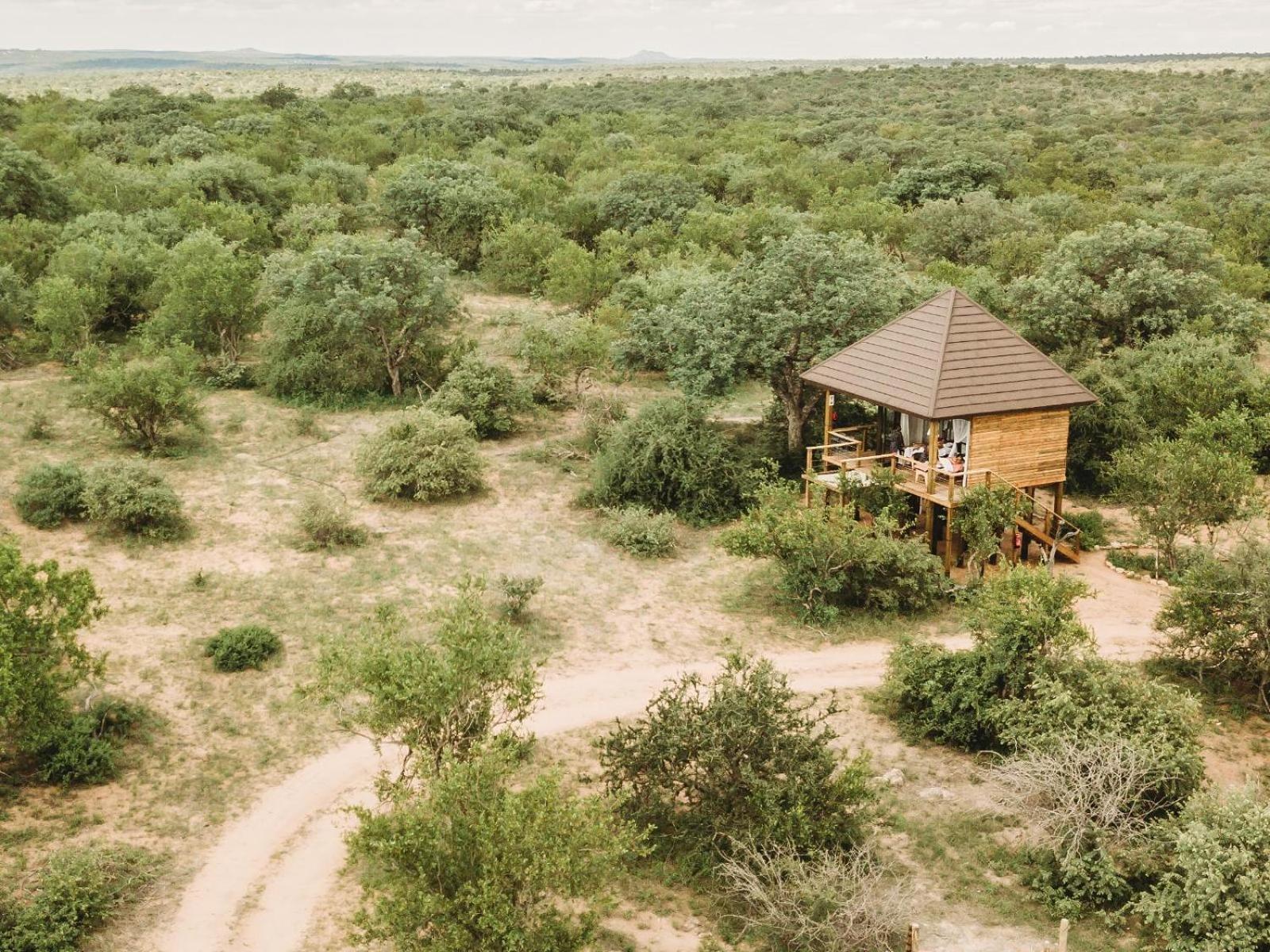 Maroelani Lodge- Greater Kruger Private Reserve Hoedspruit Værelse billede